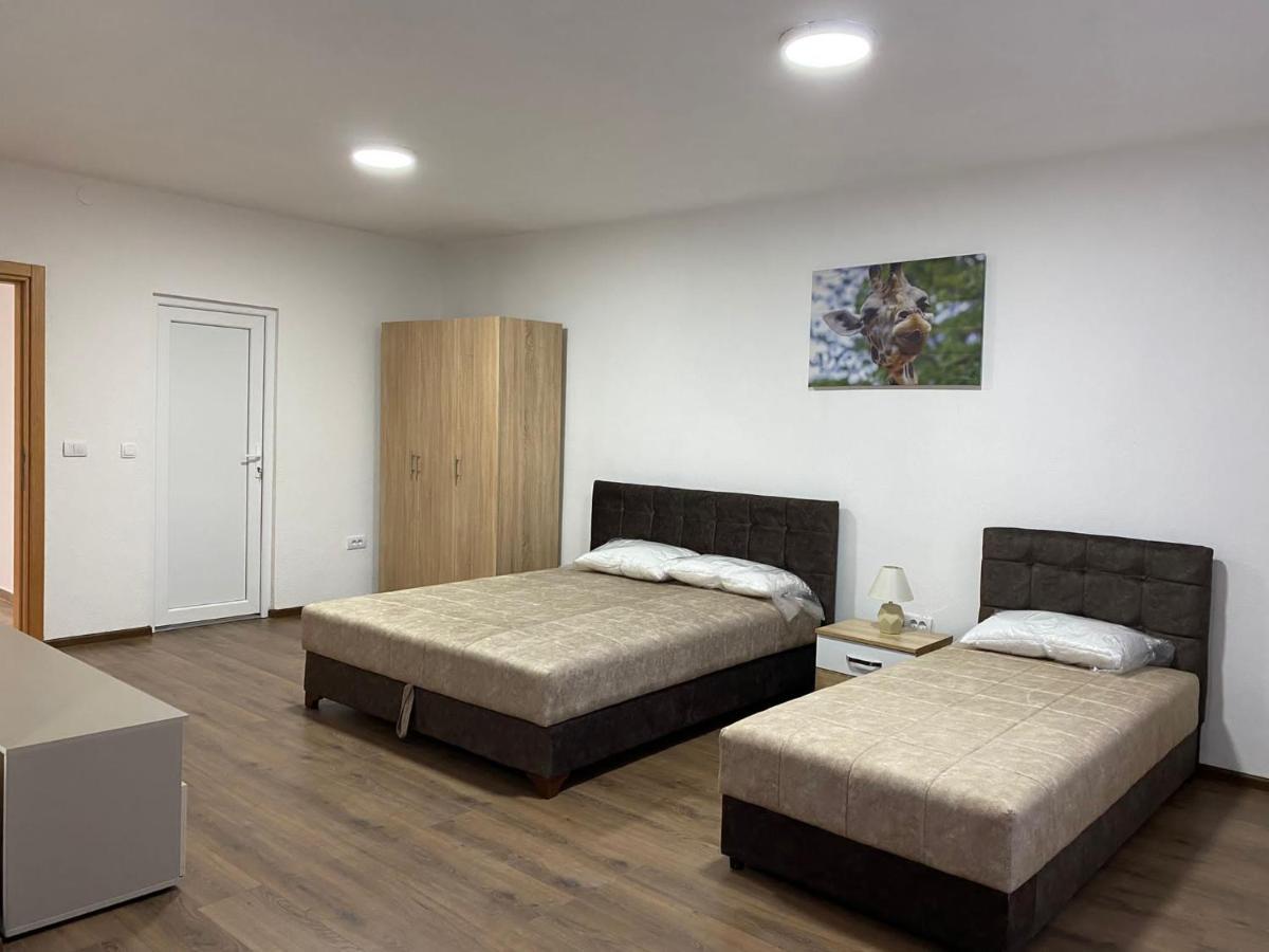 Vila Centar Mb Bed and Breakfast Sjenica Esterno foto